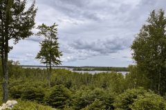 vermilion grove development
